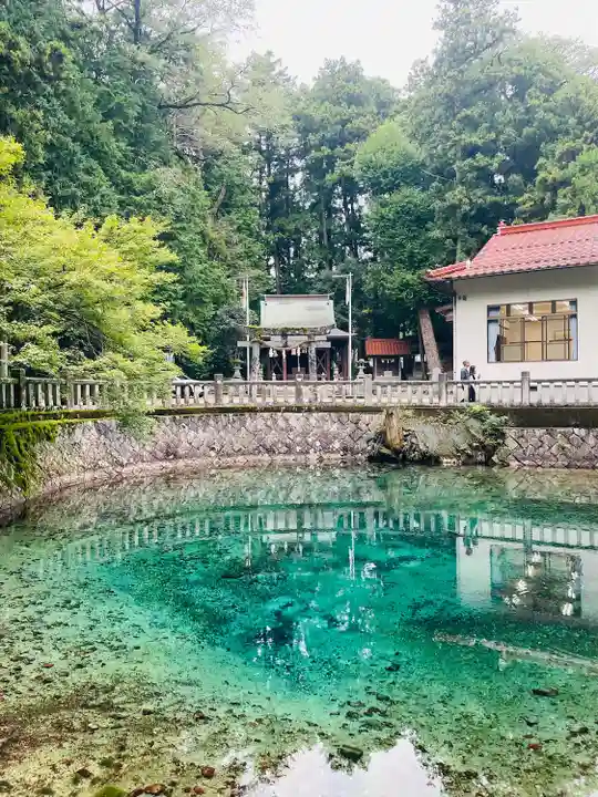 嚴島神社(山口県)