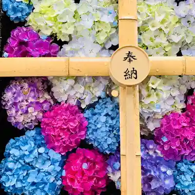 土津神社|こどもと出世の神さまの手水舎