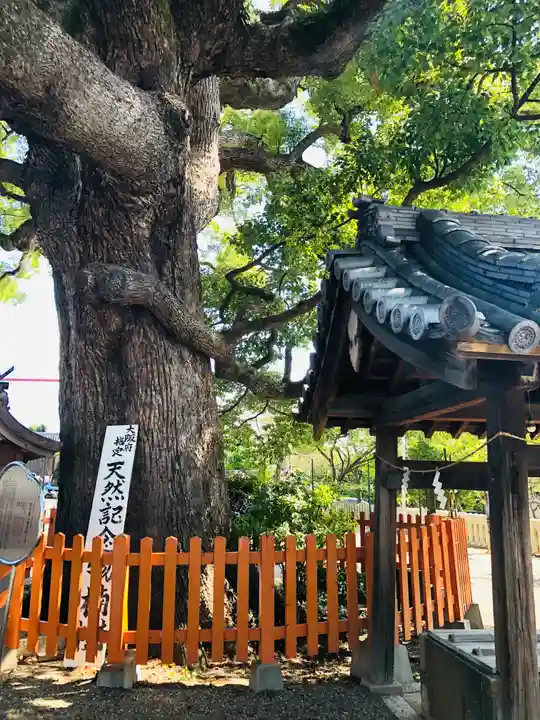 百舌鳥八幡宮(大阪府)