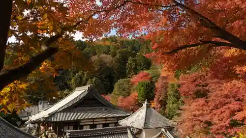 柳谷観音　楊谷寺(京都府)