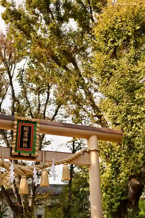 蛇窪神社の鳥居