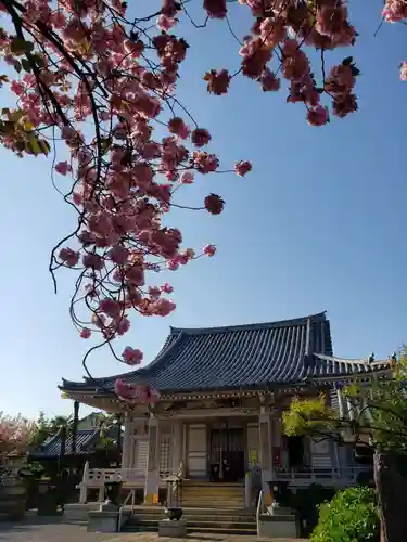荘厳寺の本殿・本堂