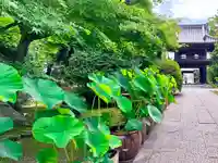 伊勢の国 四天王寺(三重県)