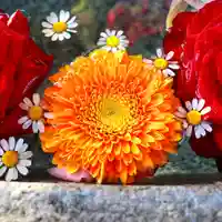 三津厳島神社の手水舎