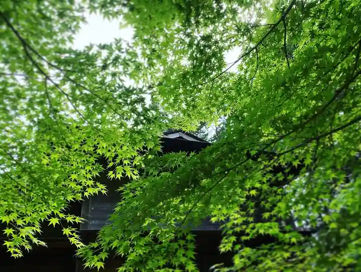 滑川神社 - 仕事と子どもの守り神の自然