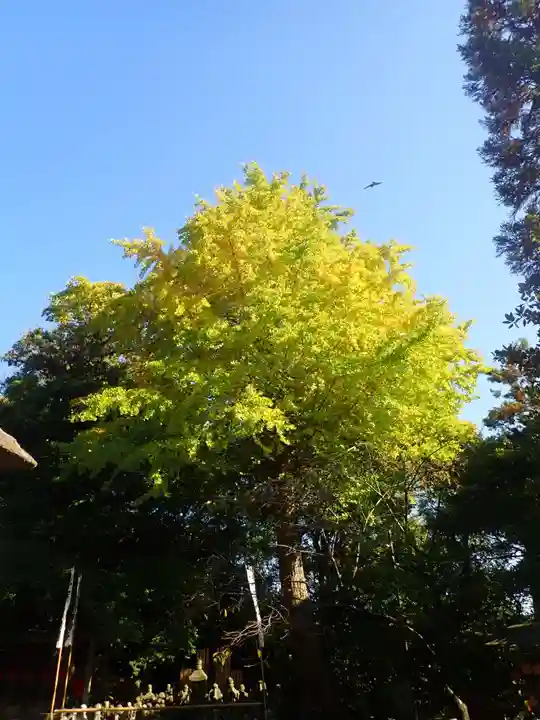 杉本寺(神奈川県)