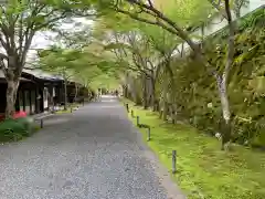 三千院門跡の建物その他