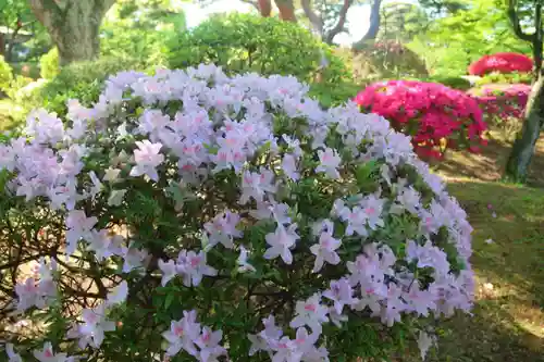 開成山大神宮の庭園