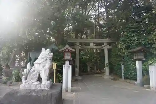 駒木諏訪神社の狛犬