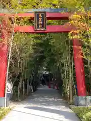 來宮神社(静岡県)