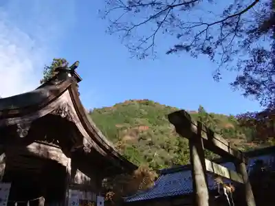 大矢田神社(岐阜県)