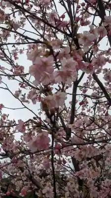 荏柄八幡社(東京都)