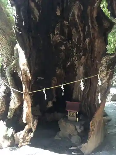 來宮神社のその他建物