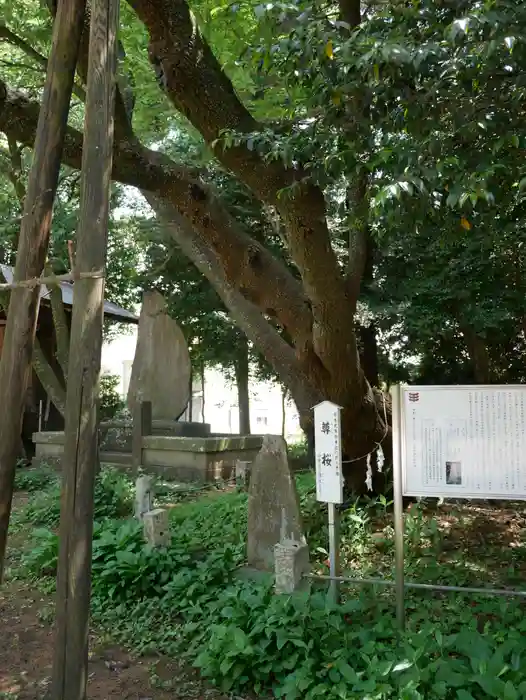 北野天神社の建物その他