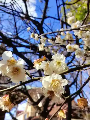 馬橋稲荷神社(東京都)