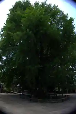 今宮神社(栃木県)