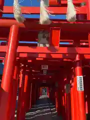 小泉稲荷神社の鳥居