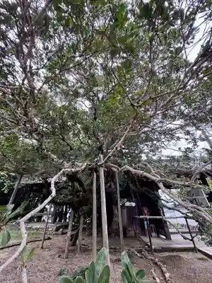 金剛王院(京都府)