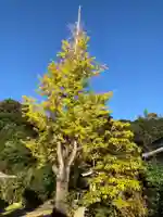 寳林寺(愛知県)