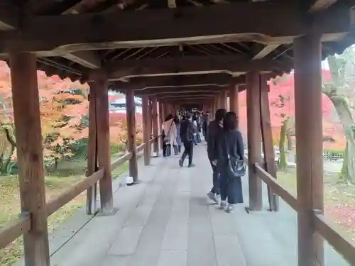 東福禅寺（東福寺）(京都府)