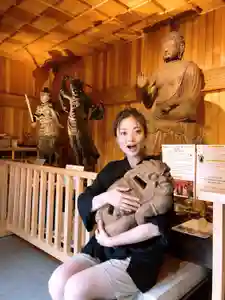 普門寺(切り絵御朱印発祥の寺)(愛知県)(2020年08月22日(土) 21時14分52秒投稿)