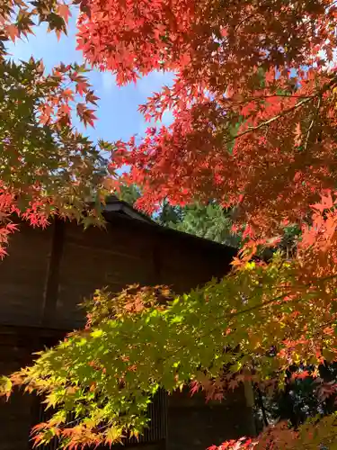 滑川神社 - 仕事と子どもの守り神の景色