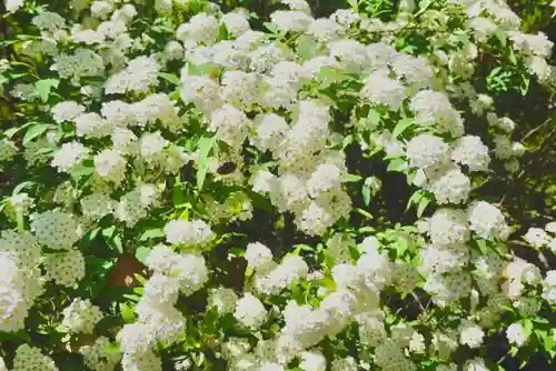 海龍王寺(奈良県)