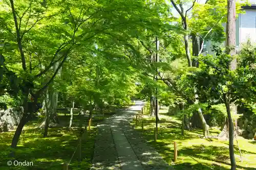 鹿王院(京都府)