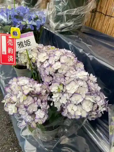 長國寺(東京都)