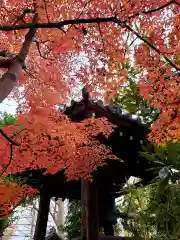 青原寺の建物その他