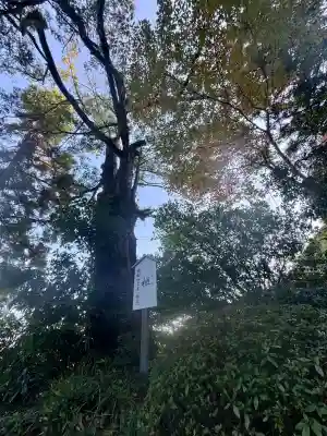 葛城一言主神社(奈良県)