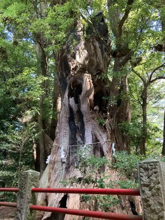 神崎神社(千葉県)
