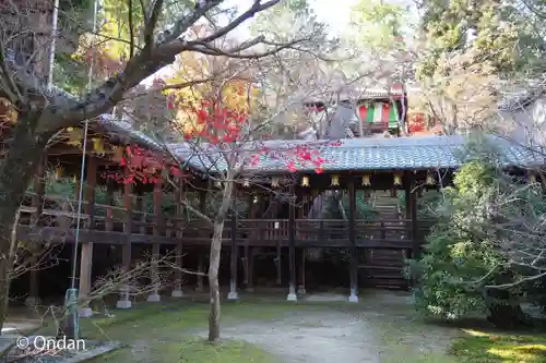 光明寺（粟生光明寺）のその他建物