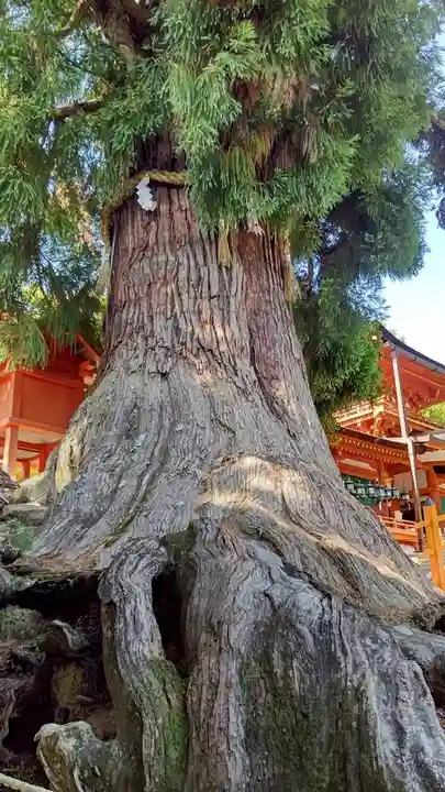 春日大社(奈良県)