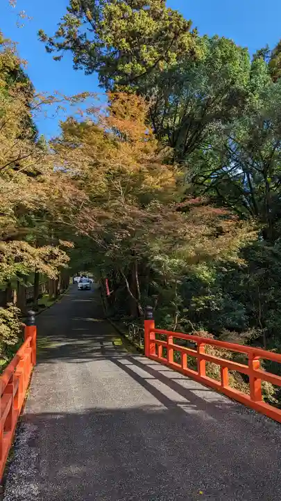 今熊野観音寺(京都府)