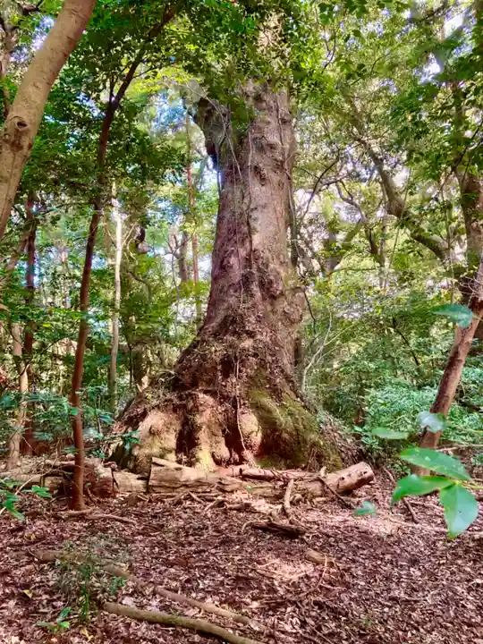 伊勢神宮外宮(豊受大神宮)の自然