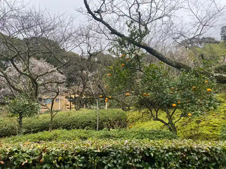 理智院(大阪府)