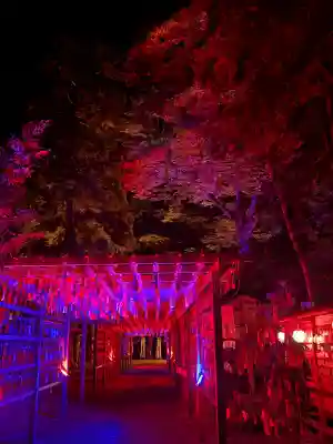 伊佐須美神社(福島県)