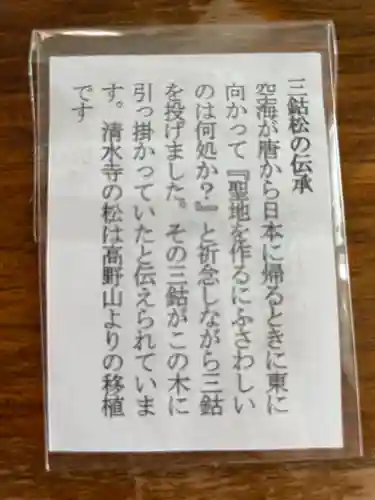 清水寺(静岡県)