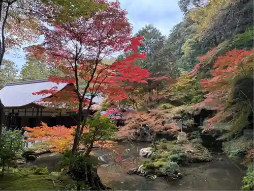 南禅院(京都府)
