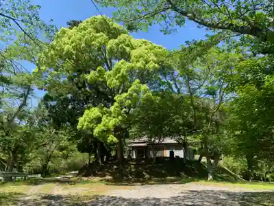 川田不動尊(千葉県)