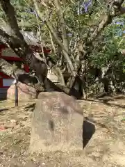 市原稲荷神社の自然