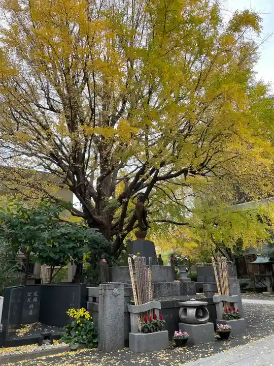 回向院(東京都)