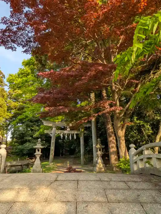 天津神社の{uncategorized: "未分類", other: "その他", undefined: "問題あり", building: "その他建物", grave: "お墓", sacred_gate: "鳥居", guardian: "狛犬", statue: "像", buddha: "仏像", history: "歴史", nature: "自然", garden: "庭園", animal: "動物", pagoda: "塔", temizu: "手水舎", mountain_gate: "山門・神門", sanctuary: "本殿・本堂", subordinate: "末社・摂社", art: "芸術", scenery: "景色", jizo: "地蔵", ema: "絵馬", goshuin: "御朱印", omikuji: "おみくじ", items: "授与品その他", amulet: "お守り", goshuincho: "御朱印帳", eats: "食事", festival: "お祭り", votive_dance: "神楽", shichigosan: "七五三参", wedding: "結婚式", experience: "体験その他", initially: "初詣", around: "周辺", anti_infection: "感染症対策"}