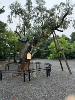 氣比神宮(福井県)