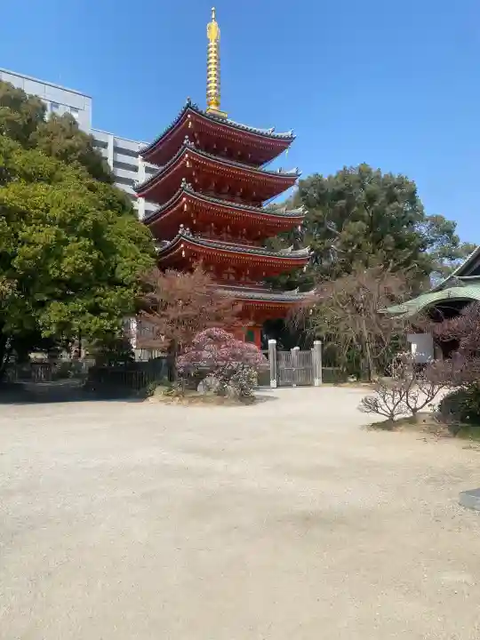 東長寺の{uncategorized: "未分類", other: "その他", undefined: "問題あり", building: "その他建物", grave: "お墓", sacred_gate: "鳥居", guardian: "狛犬", statue: "像", buddha: "仏像", history: "歴史", nature: "自然", garden: "庭園", animal: "動物", pagoda: "塔", temizu: "手水舎", mountain_gate: "山門・神門", sanctuary: "本殿・本堂", subordinate: "末社・摂社", art: "芸術", scenery: "景色", jizo: "地蔵", ema: "絵馬", goshuin: "御朱印", omikuji: "おみくじ", items: "授与品その他", amulet: "お守り", goshuincho: "御朱印帳", eats: "食事", festival: "お祭り", votive_dance: "神楽", shichigosan: "七五三参", wedding: "結婚式", experience: "体験その他", initially: "初詣", around: "周辺", anti_infection: "感染症対策"}