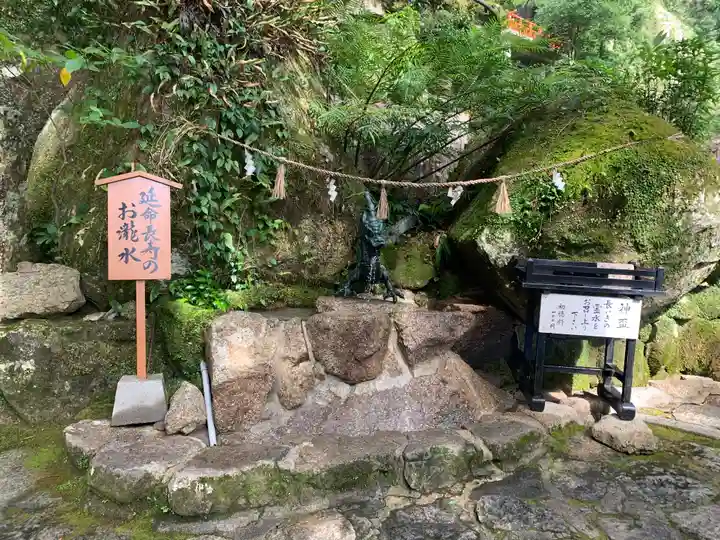 飛瀧神社(熊野那智大社別宮)の自然