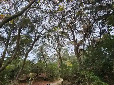 春日大社(奈良県)