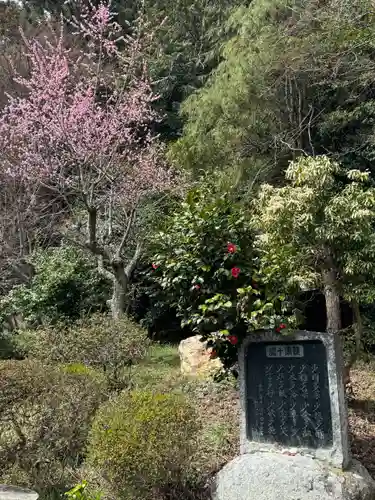 鹿島大神宮の御朱印