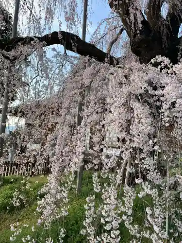 慈雲寺(山梨県)